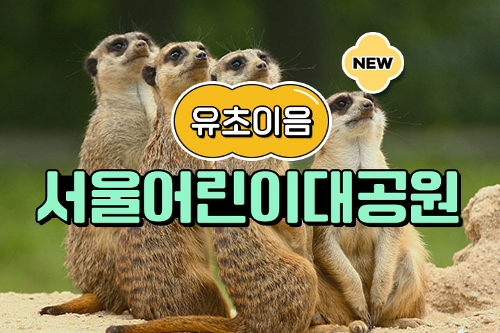 인기프로그램