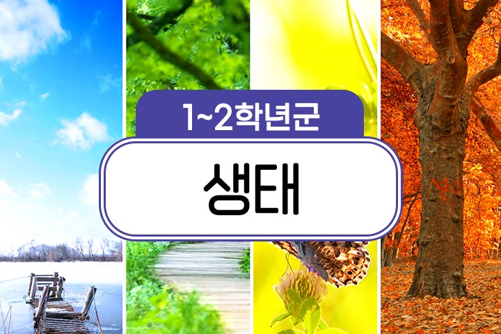 인기프로그램