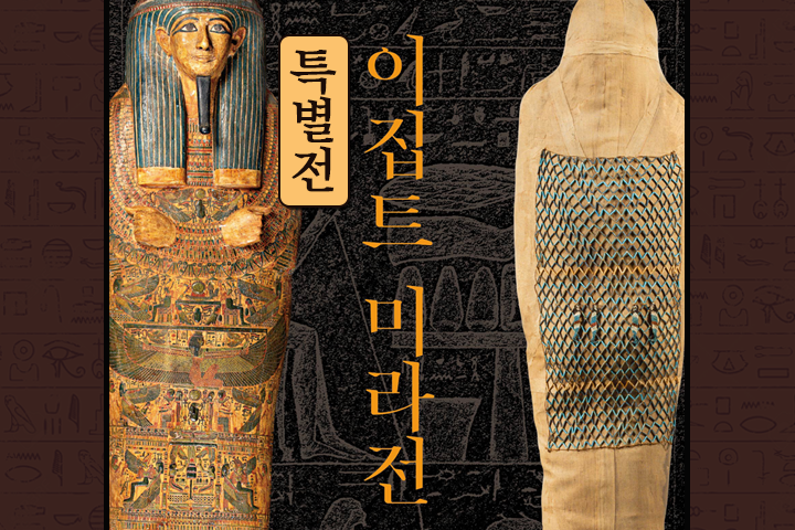 프로그램 이미지